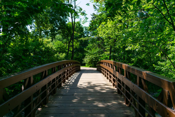 istock Simple Bridge over the DuPage River along the Naperville Riverwalk in Naperville during Summer 1168439062