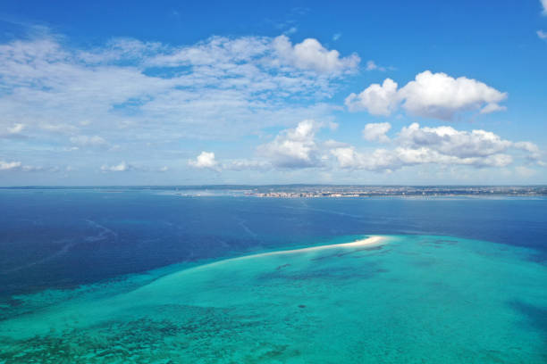 istock Amazing bird eyes view in Zanzibar 1168444598