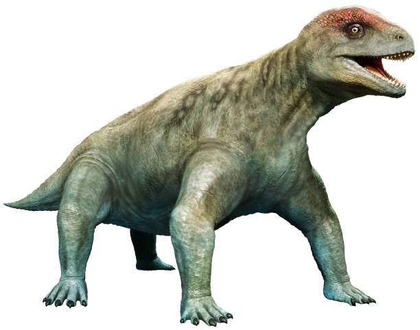 istock Criocephalosaurus from the Permian 3D illustration 1168444898