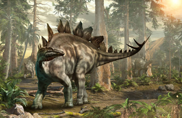 stegosaurus scena foresta illustrazione 3d - stegosauro foto e immagini stock