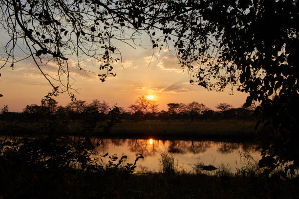 istock Sunset near the water in Botswana 1168448024