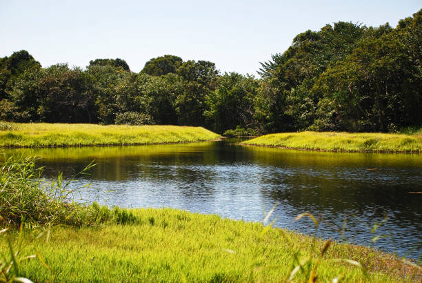 istock Ugly lagoon photographed in Guarapari 1168449471