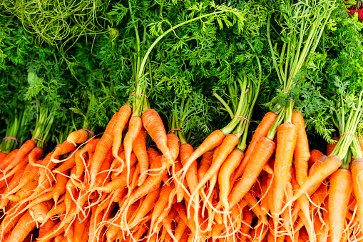 Group of baby carrots on the top view.