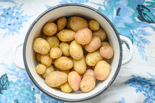 istock Boiled potatoes in their skins in a saucepan 1168456703