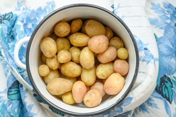 istock Boiled potatoes in their skins in a saucepan 1168457854