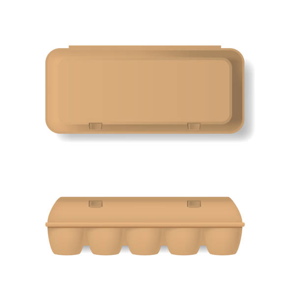 illustrations, cliparts, dessins animés et icônes de real realistic detailed 3d brown blank plastic container for eggs template mockup set. vecteur - single object paper box tray