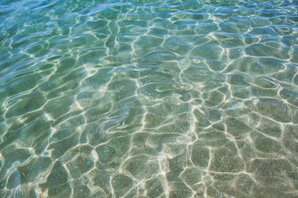 istock sunbeams water reflection in the Atlantic on a summer day in Brittany 1168458766