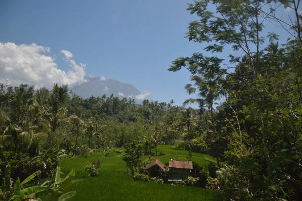 istock view of travel on Bali 1168460409