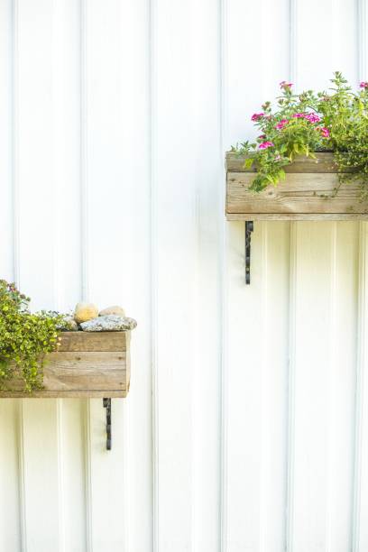 istock white wall with two pot of green plants 1168461272