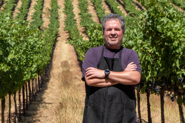 small winery owner - photography gray hair farmer professional occupation imagens e fotografias de stock