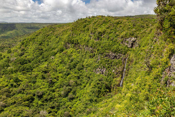 istock Landscape near Chamarel on Mauritius island, Indian ocean 1168462715