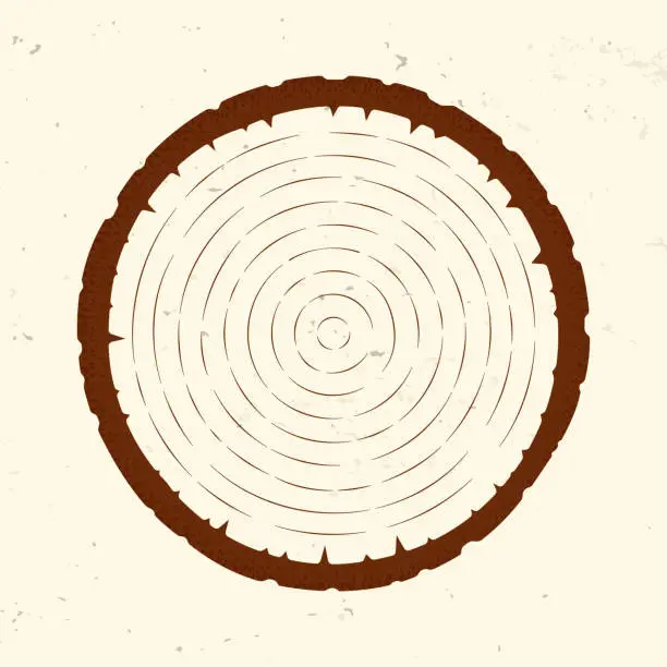 Vector illustration of Tree Ring Slice