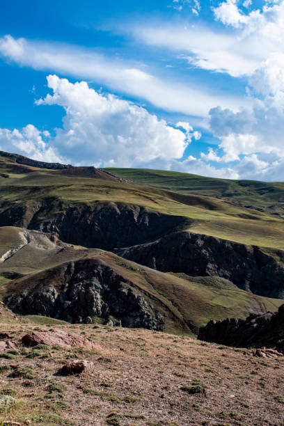 Dogubayazıt, Turkey, Middle East - 06/30/2019: aerial view of the breathtaking landscape on the dirt and winding road on the plateau around Mount Ararat, Agri Dagi, with rocky peaks, hills, grassland and flowers near the Ishak Pasha Palace dogubayazát, turquía, oriente medio: vista aérea del impresionante paisaje en el camino de tierra y sinuoso en la meseta alrededor del monte ararat, agri dagi, con picos rocosos, colinas, pastizales y flores cerca del palacio ishak pasha
