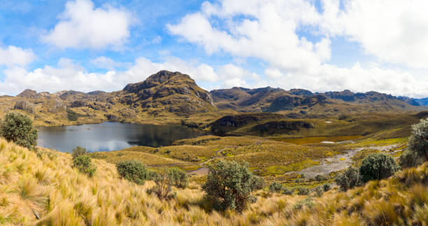 국립공원 라스카하스 산맥의 파노라마 - valley ecuador mountain landscape 뉴스 사진 이미지