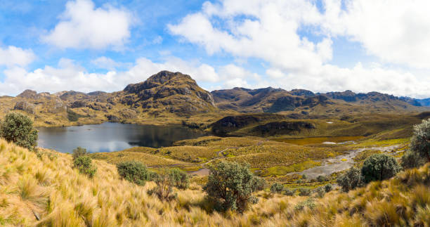 Panorama of the landscape of National park Las Cajas Mountains in Ecuador close to Cuenca city on 3850 altitude.