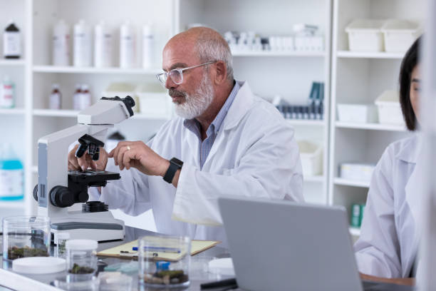 istock Mature male scientist uses microsope 1168467138