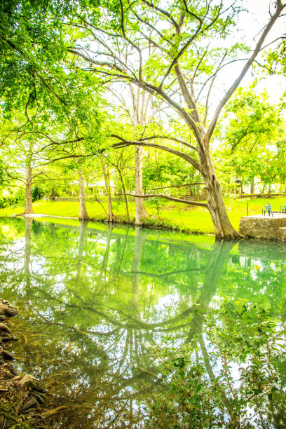 istock Amazing green lake in a forest, nature reserve 1168470089