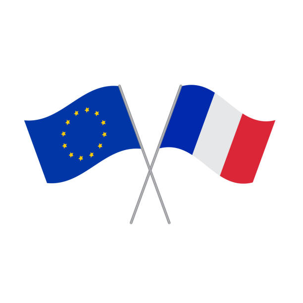 European Union and French flags vector isolated on white background European Union and French flags vector isolated on white background tricolor stock illustrations
