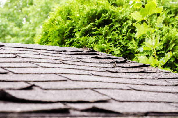 Close-up on damaged asphalt shingles over the roof of a shed in the backyard