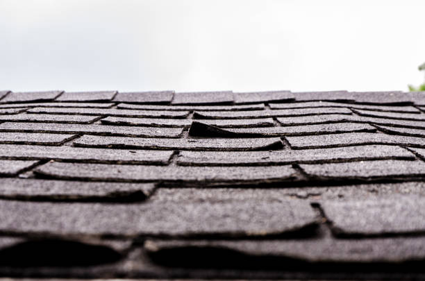 plan rapproché sur les bardeaux endommagés d'asphalte - shingled photos et images de collection