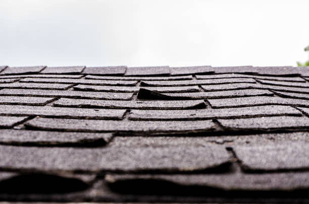 Close-up on damaged asphalt shingles Close-up on damaged asphalt shingles over the roof of a shed in the backyard damaged stock pictures, royalty-free photos & images