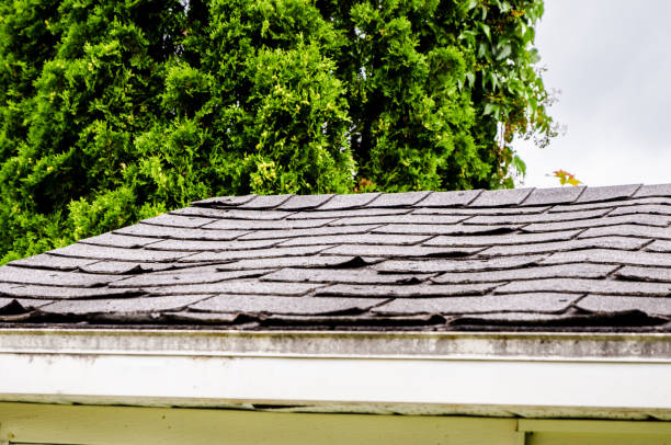 istock Close-up on damaged asphalt shingles 1168474041