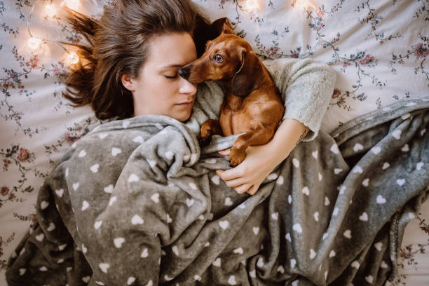 istock Enjoying Christmas Morning With Her Beautiful Dachshund in Bed 1168475005