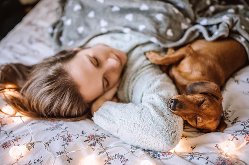Woman Enjoying Christmas Morning With Her Beautiful Dachshund in Bed
