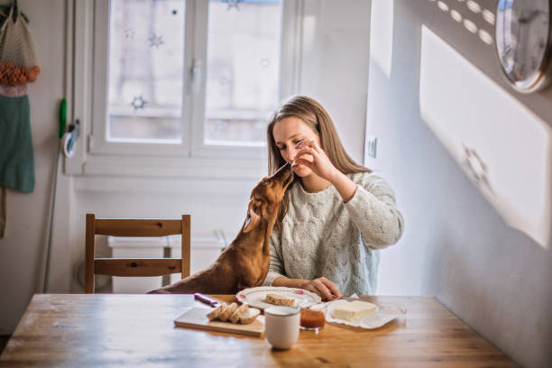 istock Having Breakfast With Her Dachshund Dog 1168475066