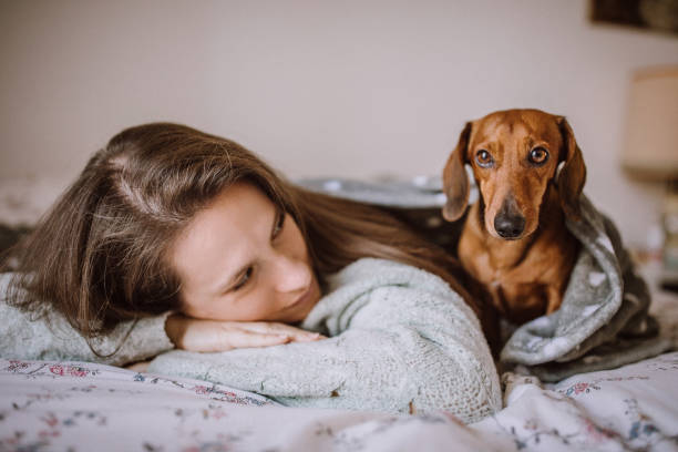 istock Comfortable Afternoon Nap Full Of Love 1168475094