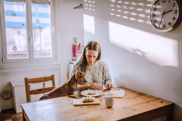 istock Having Breakfast With Her Dachshund Dog 1168475104