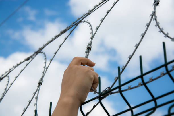 istock Hand of a refugee behind barbed wire 1168475136