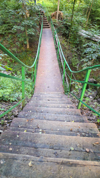 istock Hanging forest bridge with wooden stairs in summer 1168479260
