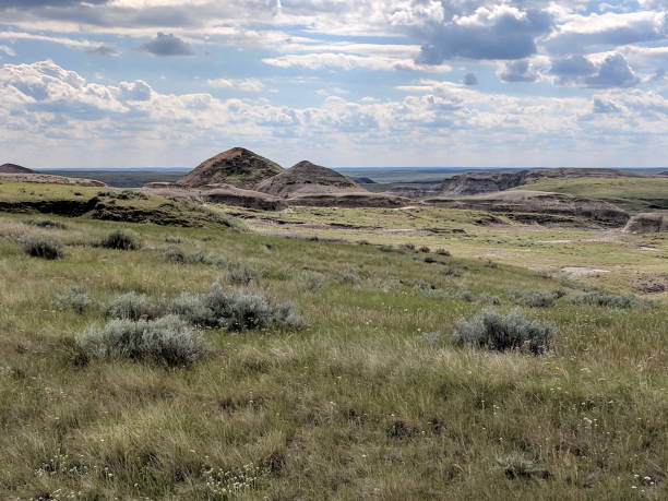 istock Badlands of Grasslands National Park 1168483496