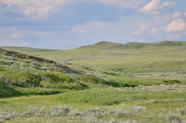 istock Badlands of Grasslands National Park 1168483504