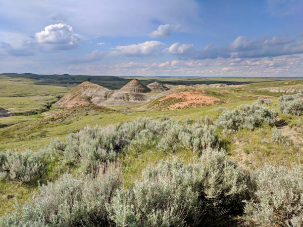 istock Badlands of Grasslands National Park 1168483506