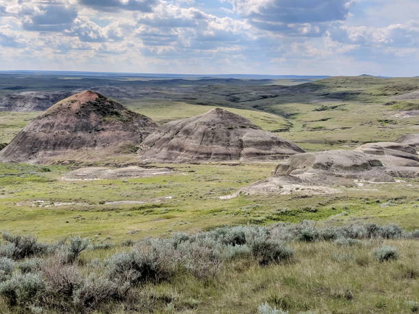 istock Badlands of Grasslands National Park 1168483512