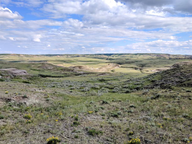 istock Badlands of Grasslands National Park 1168483547