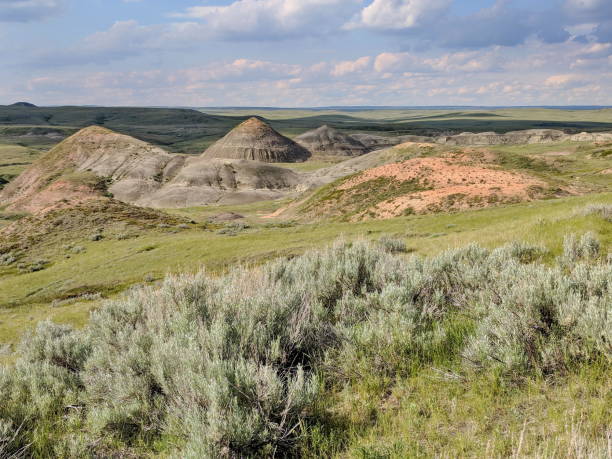 Badlands of Grasslands National Park