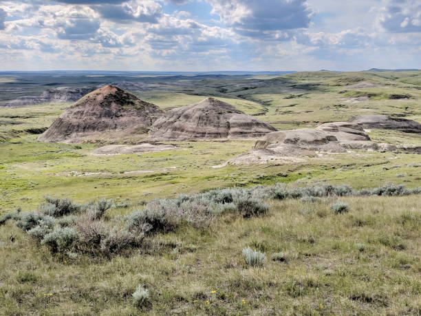 istock Badlands of Grasslands National Park 1168483551