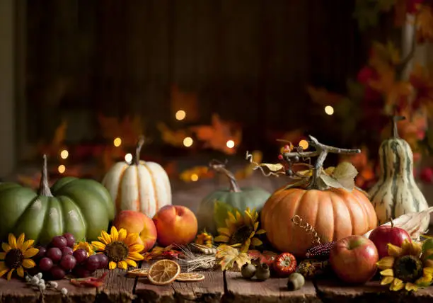 Photo of Autumn Pumpkin Background on Wood