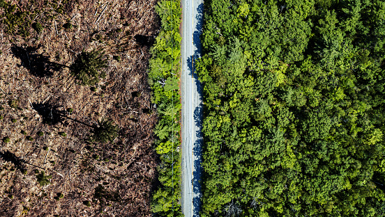 Aerial view of a clear cut area bordering a rural highway.