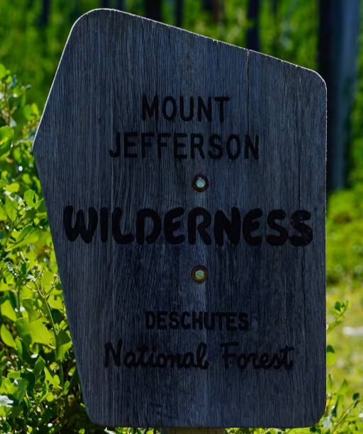 istock Mt. Jefferson Wilderness Portal 1168488177