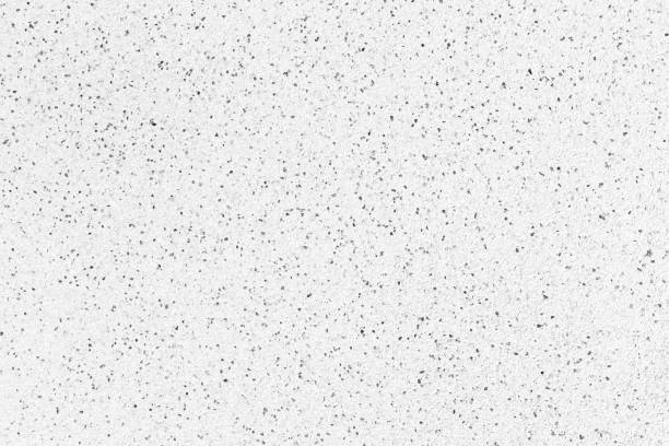 istock Modern grey paint limestone texture background in white light seam home wall paper. Back flat subway concrete stone table floor concept surreal granite quarry stucco surface background grunge pattern. 1168488378