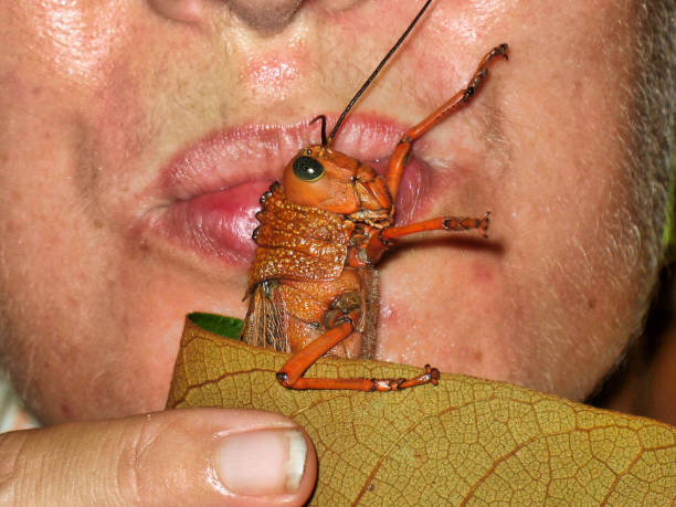 istock Woman kissing a grasshopper 1168491606