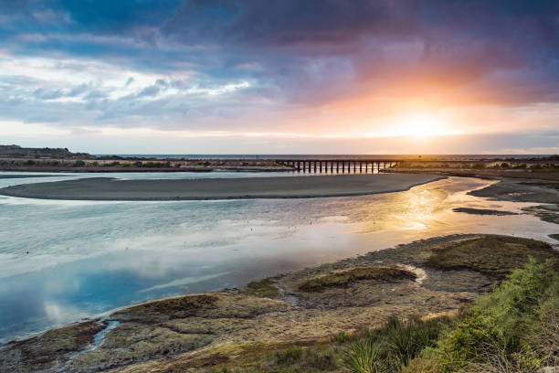 a lagoa de batiquitos - lagoon - fotografias e filmes do acervo