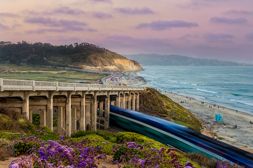 Torrey Pines state beach with the coaster passing by under the bridge in Del Mar, CA, USA