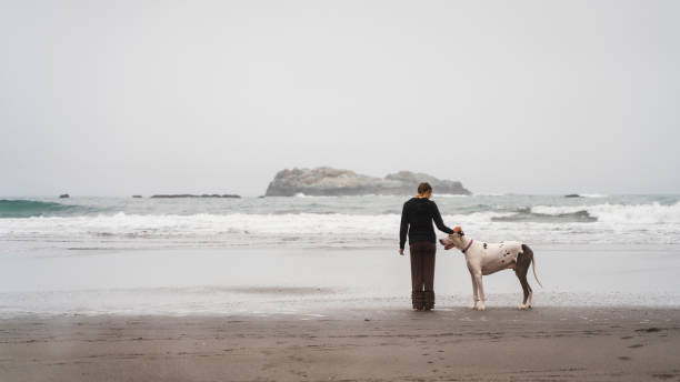 la madura mujer caucásica-blanca de 40 años acariciando a su perro grande en la playa del océano pacífico en el día de la niebla. trinidad, california, costa oeste de los estados unidos. - 35 40 years fotografías e imágenes de stock