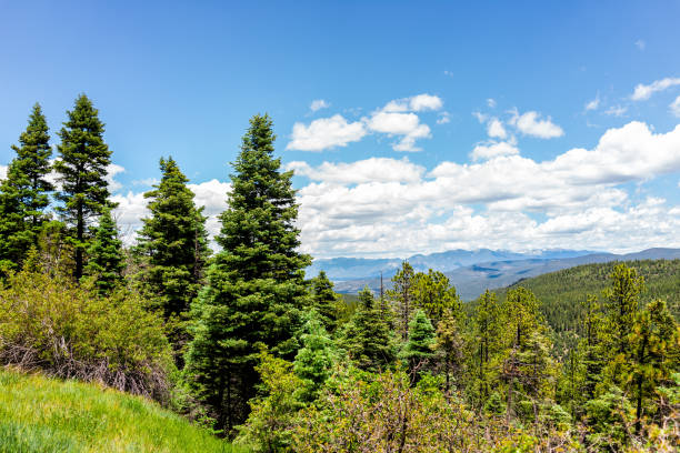 istock Carson National Forest green pine trees with Sangre de Cristo mountains on summer peak overlook from route 76 high road to Taos 1168496420