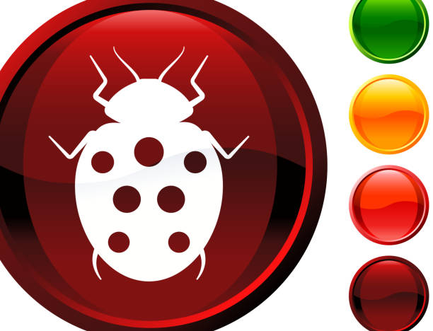 ladybug internet royalty free vector art  seven spot ladybird stock illustrations